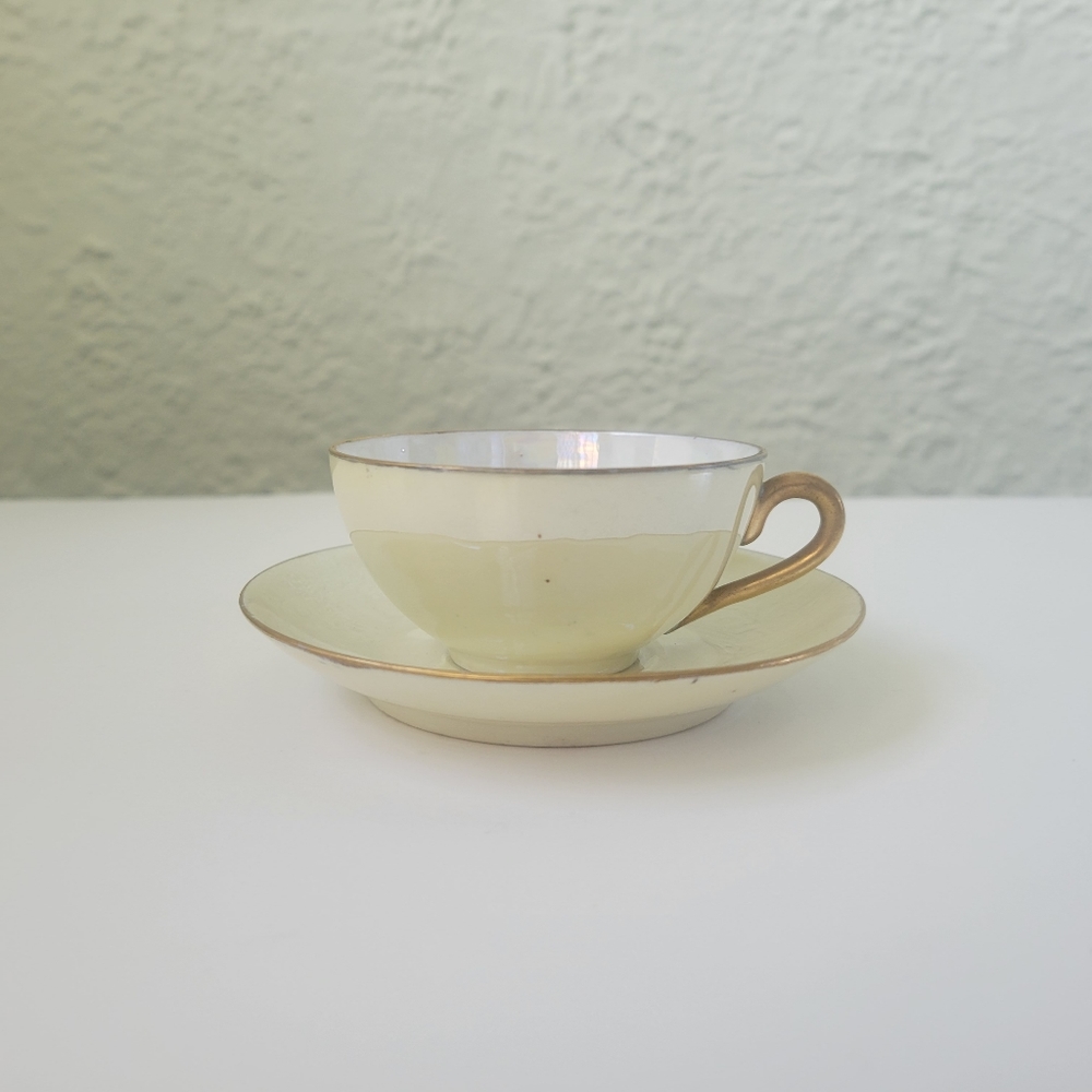 Antique tea cup and saucer signed  1792 H&C Schlaggenwald, Lusterware